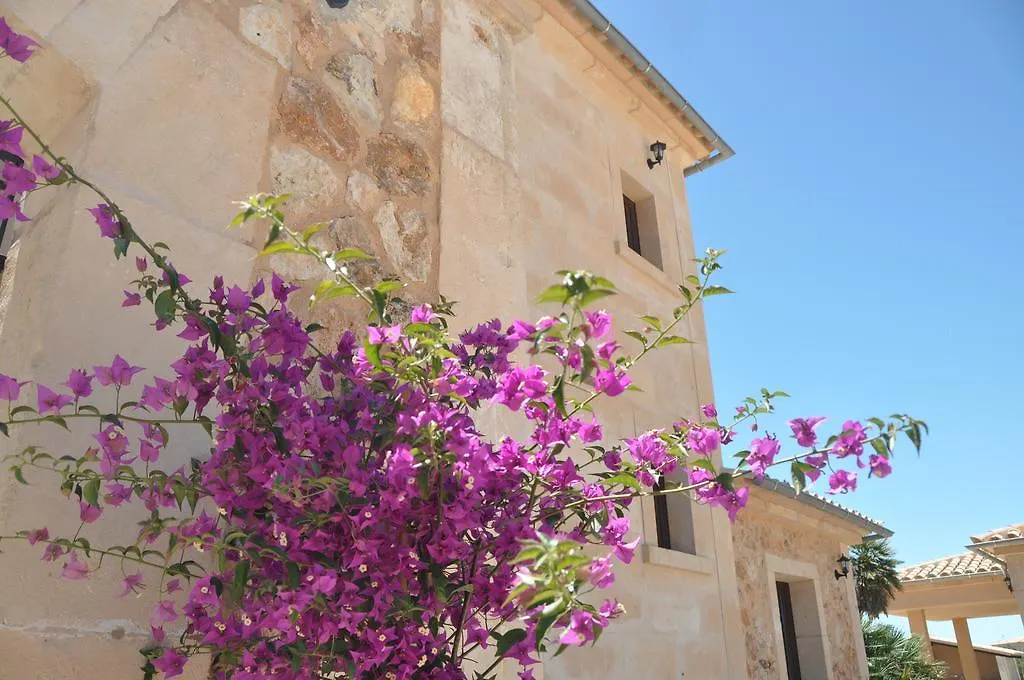 ホテル Finca Alegria - Agroturismo Son Sampoli リュックマヨール