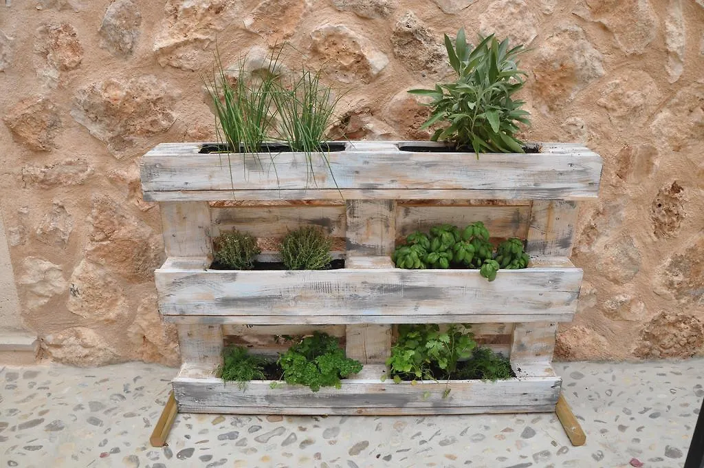 Hotel Finca Alegria - Agroturismo Son Sampoli Llucmajor